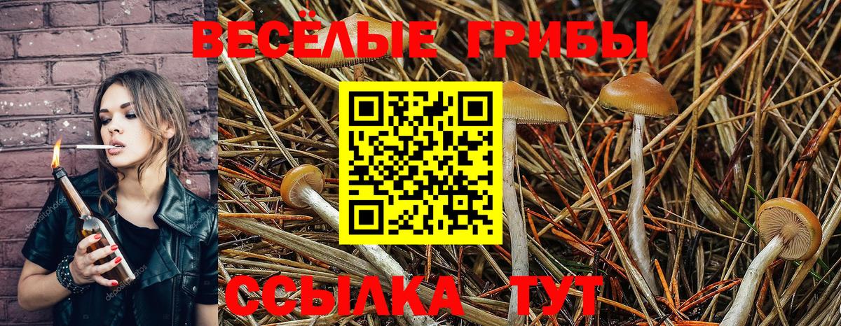 Кольчугино  Галлюциногенные грибы ЛСД  Вход с VPN 